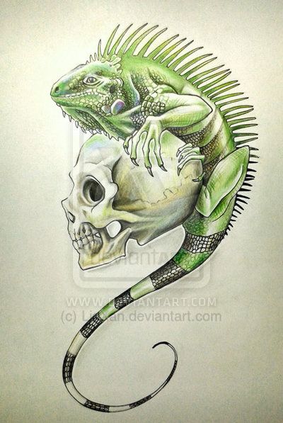 Reptile Tattoo, English Application, Iguana Tattoo, Lizard Tattoo, Desenho Tattoo, Tableau Art, 3d Drawings, Tattoo Flash Art, Skull Tattoos