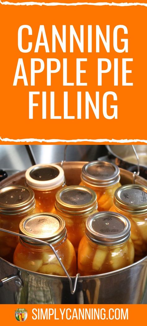 Apple Recipes For Canning, Freezing Meals, Canning Apple Pie Filling, Canned Apple Pie, Apple Pie From Scratch, Water Bath Canning Recipes, Canning Apples, Apple Pie Filling Recipes, Modern Homestead