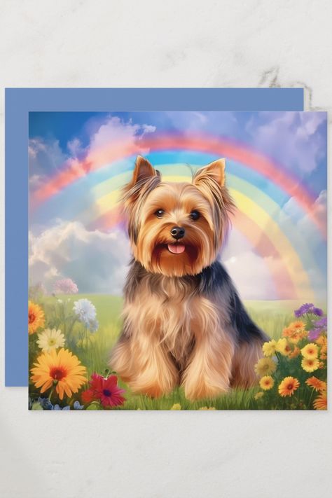 Yorkshire Terrier Rainbow Bridge Yorkie Sympathy Yorkie Memorial, Dog Sympathy Card, Cute Dog Wallpaper, Dog Quotes Love, Dog Canvas Art, Yorkie Terrier, Dog Sympathy, Yorkshire Terriers, Yorkie Dogs