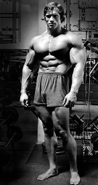 Arnold Schwarzenegger young photos best movies Young Arnold Schwarzenegger, Arnold Schwarzenegger Gym, Arnold Schwarzenegger Muscle, Arnold Bodybuilding, Arnold Schwarzenegger Movies, Arnold Schwarzenegger Bodybuilding, Schwarzenegger Bodybuilding, Muscular Development, Bodybuilding Pictures