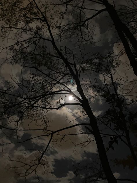 Fatemeh Core, Trees At Night Aesthetic, Tree At Night Aesthetic, Clouds And Trees Aesthetic, Sky Tree Cloud Video Dark, Desi Love, Fatal Frame, Dark Sky Aesthetic Moon, Goth Subculture