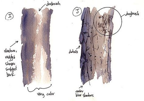 bark1 | The same idea, applied to tree bark... | Cathy (Kate) Johnson | Flickr Cathy Johnson, Watercolor Basics, Tree Watercolor Painting, Watercolor Workshop, Watercolor Tips, Watercolor Lessons, Watercolor Tree, Have Inspiration, Watercolor Painting Techniques