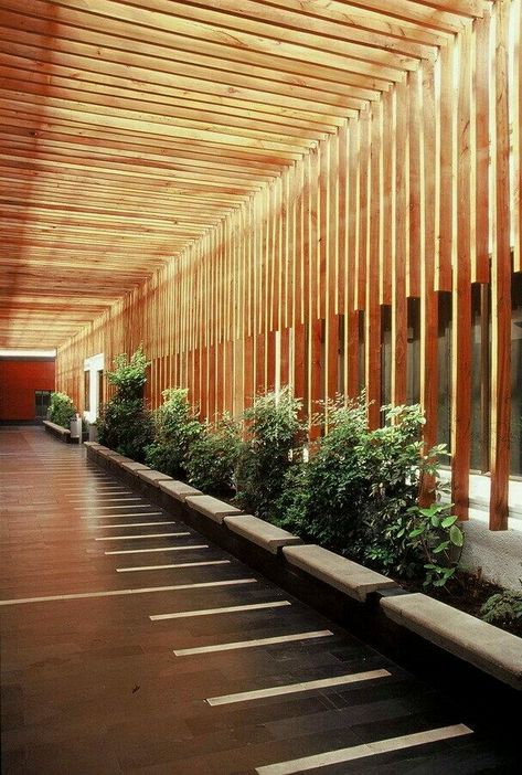 Building With Wood, Pergola Design, Wood Architecture, Desain Lanskap, Lobby Design, Shade Structure, Design Exterior, Pergola Designs, Light Architecture