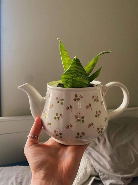 Aesthetic Planter Pots, Plant In Teapot, Pretty Plant Pots, Cute Teapot Aesthetic, Cute Potted Plants, Ceramic Plant Holder, Thrifted Plant Pots, Planters Aesthetic, Plant Pots Aesthetic