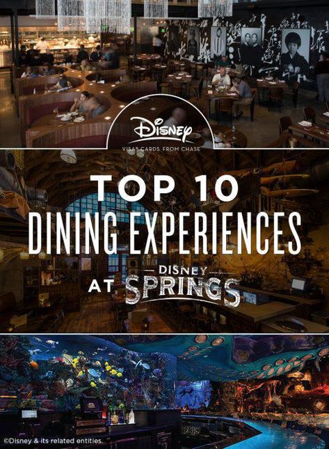 Disney Springs Restaurants, Restaurant Experience, Disney World Food, Disney Trip Planning, Disney Vacation Planning, Orlando Vacation, Disney World Planning, Walt Disney World Vacations, Downtown Disney