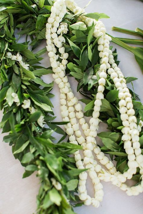 Pikake Lei Wedding, Wedding Haku Lei, Hawaiian Wedding Traditions, Haku Lei Wedding, Groom Lei, Hawaii Marriage, Wedding Leis, Pikake Lei, Hawaii Bride