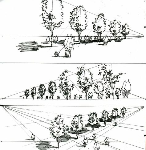 How To Draw Trees, Bio Architecture, Landscape Drawing Tutorial, Draw Trees, Perspective Sketch, Landscape Design Drawings, Perspective Drawing Architecture, Perspective Drawing Lessons, Interior Architecture Drawing