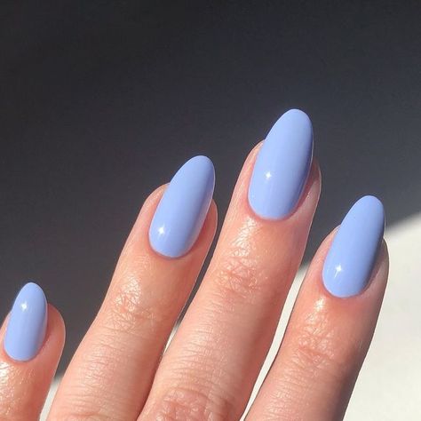 𝐒𝐀𝐑𝐀𝐇 | Nail Design & Inspiration on Instagram: "My favorite all season blue 🏄🏼‍♀️  [Purchased/ Ambassador]  This shade is so pretty in every lighting. In low light it’s a gorgeous dusty cornflower blue and in the sunlight it becomes more of a vibrant light blue but still maintains that dusty blue quality. I just eat this shade up! I always wear this in the summer because it screams nautical to me especially if you pair it with Kokomo, Guava, and Deep Sea.   My code sedjames will help you save on your sevenseas orders!  All polishes now come with the deluxe wide brush!   Polish: @sevenseasbeautiful Surf’s Up  . . . . #nails #bluenails #nailinspiration  #nailtrends #nailartist #nailsoftheday #nailpolish #summernails #summernailinspo #summerfun #summer" Cornflour Blue Nails, Cornflower Blue Nails, Light Summer Color Palette, Up Nails, True Summer, Claw Nails, Just Eat, Nail Design Inspiration, Summer Color Palette