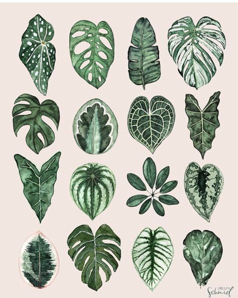 Candle Painting Art, Macbook Air Wallpaper, Plant Tattoo, Leaves Illustration, Pretty Plants, Landscape Illustration, Plant Illustration, Plant Art, Leaf Art