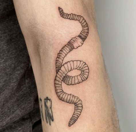 Grub Tattoo, Cartoon Bug Tattoo, Fuzzy Caterpillar Tattoo, Earth Worm Tattoo, Inchworm Tattoo, Stick Bug Tattoo, Earthworm Tattoo, Parasite Tattoo, Rollie Pollie Tattoo