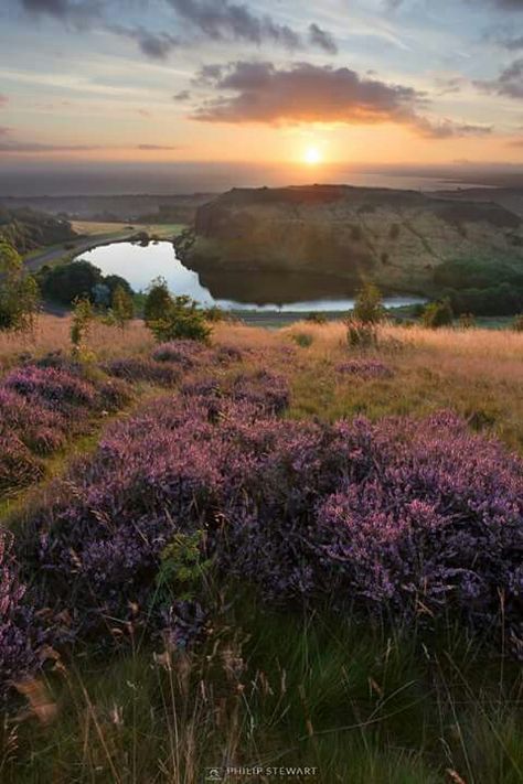 Scotland Irish Countryside, Scotland Uk, Scottish Islands, Uk Travel, Pretty Places, Nature Scenes, Places Around The World, Life Is Beautiful, Wonders Of The World