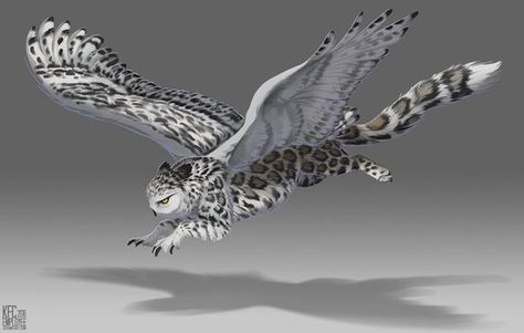 Snow Leopard Owl Griffin, Snow Leopard Character Design, Owl Gryphon, Snow Owl Art, Griffon Art, Snowy Owl Art, Creature Fantasy, Snow Owl, Post Animal