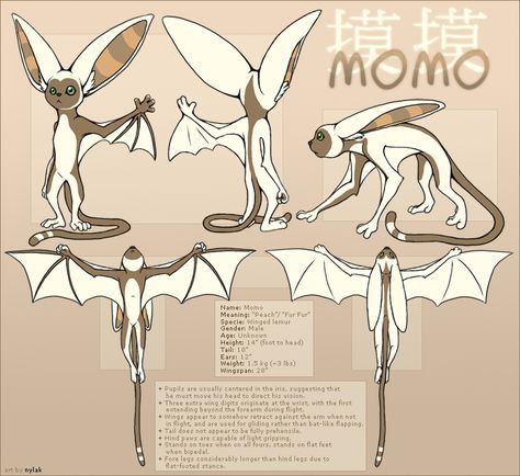 Avatar : Momo Reference Sheet by Nylak on deviantART Momo Atla, Avatar Momo, 3 People Halloween Costumes, Avatar Tattoo, Avatar Cosplay, Avatar Legend Of Aang, Avatar Picture, Avatar Series, Korra Avatar