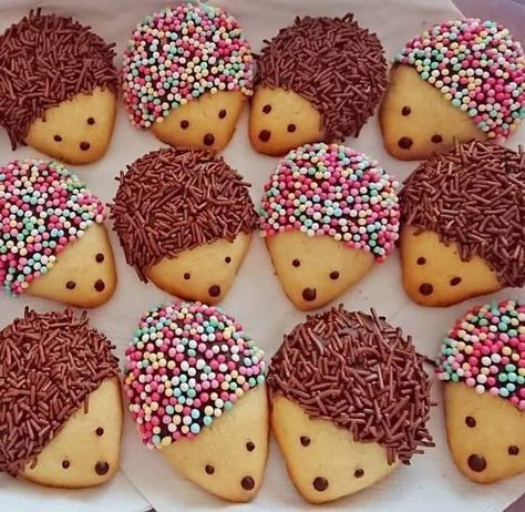 Food That Looks Like Animals, Cute Animal Cookies, Cute Biscuits, Hedgehog Biscuits, Kids Baking Ideas, Animal Biscuits, Animal Baking, Hedgehog Cookies, Resepi Biskut