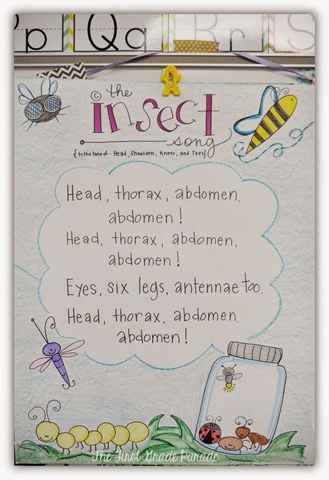 What's the Bug Deal? Love this Head Thorax Abdomen song and other anchor chart ideas from The First Grade Parade! Insects Kindergarten, First Grade Parade, Insect Unit, Science Anchor Charts, Insects Preschool, Bugs Preschool, Insect Activities, Classroom Science, Insect Crafts