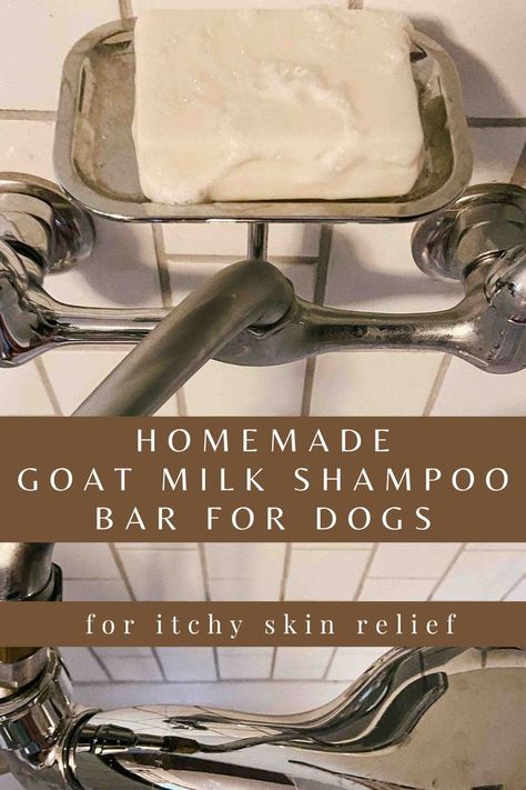 Goat Milk Shampoo, Diy Goat Milk Soap, Diy Shampoo Bar, Itchy Dog Skin, Diy Dog Shampoo, Homemade Dog Shampoo, Dog Balm, Goat Milk Soap Recipe, Itchy Skin Relief