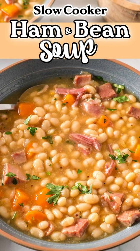 Learn how to make a delicious and hearty crockpot ham and bean soup with this easy recipe. You'll dive into a bowl of homemade goodness with this perfect comfort food for a cozy night in. An easy slow cooker soup recipe and great use of leftover ham. Navy Beans And Ham, Bean Soup Crockpot, Crockpot Ham And Beans, Leftover Easter Ham, Cookbook Binder, Homemade French Onion Soup, Fiber Recipes, Ham And Bean, Navy Bean Soup