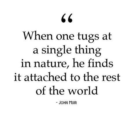 #Earthweek tip # 5- Turn things off, go outside, enjoy!⁣ ⁣ Dr. Zach Bush, one of the few triple board-certified physicians in the US, says… Bush Quotes, Earth Week, Health Nut, Health Coaching, Nature Study, Health Coach, Go Outside, Happy Life, Coaching