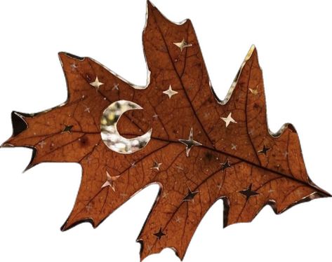 #autumn #leaf #aesthetic #fall Autumn Png Aesthetic, Autumn Leaf Aesthetic, Leaf Aesthetic, Leaf Png, Png Aesthetic, Aesthetic Fall, Fall Png, Autumn Leaf, Autumn Leaves