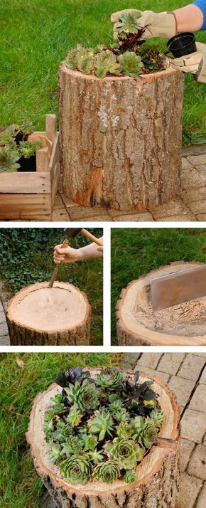 Pin su Garten deko Back Garden Landscaping, Takken Decor, Rustic Barndominium, Succulent Garden Design, Wooden Log, Succulent Garden Diy, Succulent Gardening, Have Inspiration, Tree Stump