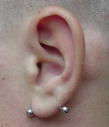 Vertical Hood Piercing, Transverse Lobe, Piercings Bonitos, Piercing Chart, Mod Jewelry, Cool Ear Piercings, Cool Piercings, Cute Ear Piercings, Cute Piercings