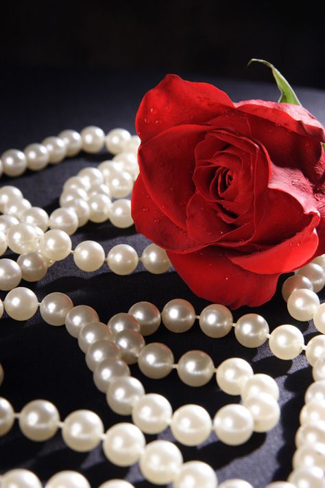 For her tears are like pearls,  And her heart as soft and fragrant as a rose!  ™ Raindrops And Roses, Single Red Rose, Mother Love, Belle Rose, Pearl And Lace, Girls Necklaces, Black White Red, Be My Valentine, Red Rose