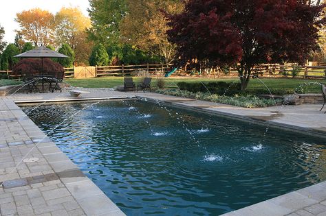 Inground Pool Landscaping, Pool Water Features, Pool Remodel, Swimming Pool Water, Inground Pool, Sprinklers, Water Features In The Garden, Lounge Area, Colorful Trees