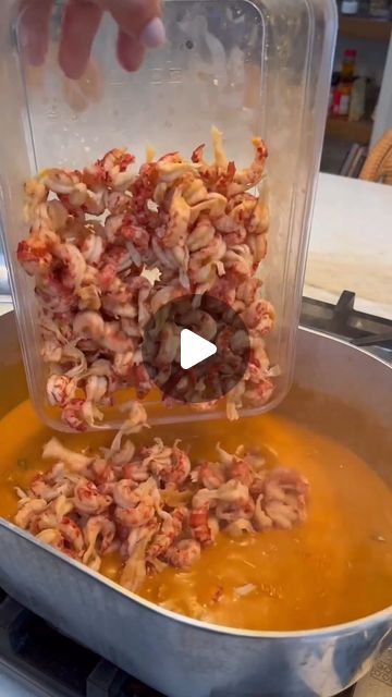 How To Boil Seafood, Florida Seafood Recipes, Recipes Using Frozen Mixed Seafood, Cajun Shrimp Toast, Low Carb Crawfish Recipes, Seafood Stock Recipes, Fall Seafood Recipes, Cajun Dinner Ideas, Thanksgiving Seafood Dishes