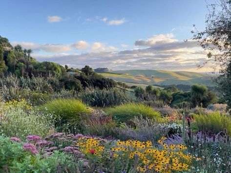 𝒍𝒆𝒕𝒔 𝒓𝒖𝒏𝒂𝒘𝒂𝒚 — sometimes do you ever just want to Akaroa New Zealand, Feeling Alive, Autumn Rain, Countryside Landscape, British Countryside, Warm Autumn, Environment Concept Art, Aesthetic Themes, Pretty Pictures