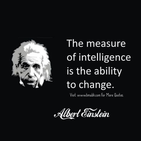 Based on an old New Zealand saying: "When an EU enthusiast leaves Britain to live in Spain (as many have already done), the intelligence level of both countries increases! jp. Wolf Quotes, Morning Pics, Albert Einstein Quotes, Intelligence Quotes, Einstein Quotes, E Mc2, Lone Wolf, Quotable Quotes, Albert Einstein