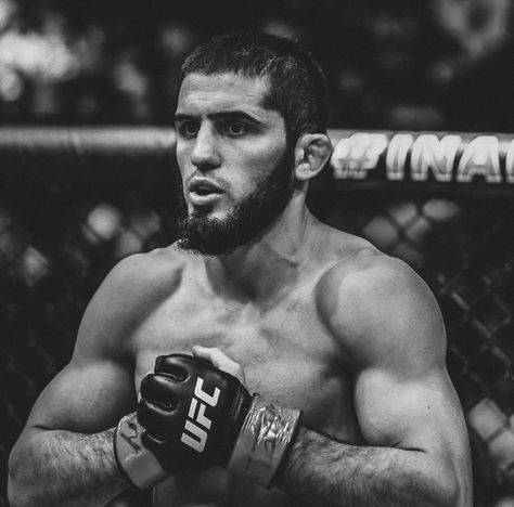 Islam Makhachev Wallpaper, Ufc Pfp, Islam Makhachev Ufc, Mma Wallpaper, Islam Makhachev, Boxing Images, Manchester United Wallpaper, Human Existence, Ufc Fighters