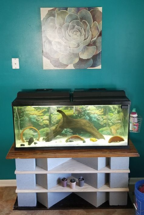 DIY fish tank stand. 55 gallon. Cinder blocks and wood cost me $65. Already had a table top from an old foyer bench. It turned out fabulous. && you can't get any sturdier than that.👌 65 Gallon Fish Tank Ideas, Cinder Block Fish Tank Stand, Diy Fish Tank Stand, Fish Tank Stand Ideas Diy, 55 Gallon Fish Tank Ideas, Cinder Block Aquarium Stand, 55 Gallon Fish Tank Stand, Diy Fish Tank Stand How To Build, Diy 75 Gallon Fish Tank Stand