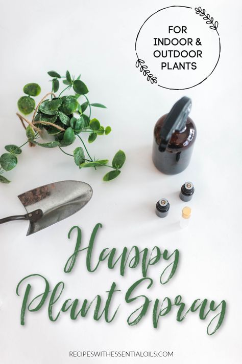 Give your garden and indoor plants some TLC with this Natural Plant Spray. Keep pests away and nourish your plants with all-natural ingredients and essential oils. Keep all your plants happy! #plantspray #happyplantspray #essentialoilplantspray #essentialoilrecipes #essentialoilsgarden #plants #essentialoils Aloe Vera Plant Indoor, Peppermint Tea Benefits, Young Living Oils Recipes, Living Oils Recipes, Peppermint Plants, Homemade Essential Oil, Essential Oil Plants, Essential Oil Blends Recipes, Peppermint Tea