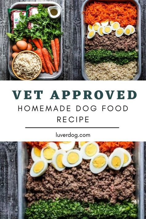 Vet approved homemade dog food recipe Homestead Dog Food, Nutritional Homemade Dog Food, Diy Grain Free Dog Food, Homemade Dehydrated Dog Food, Homemade Pet Food Dogs, Diy Natural Dog Food, Make Dog Food Homemade, Homemade Dog Food Recipes Sensitive Stomach, Fresh Homemade Dog Food