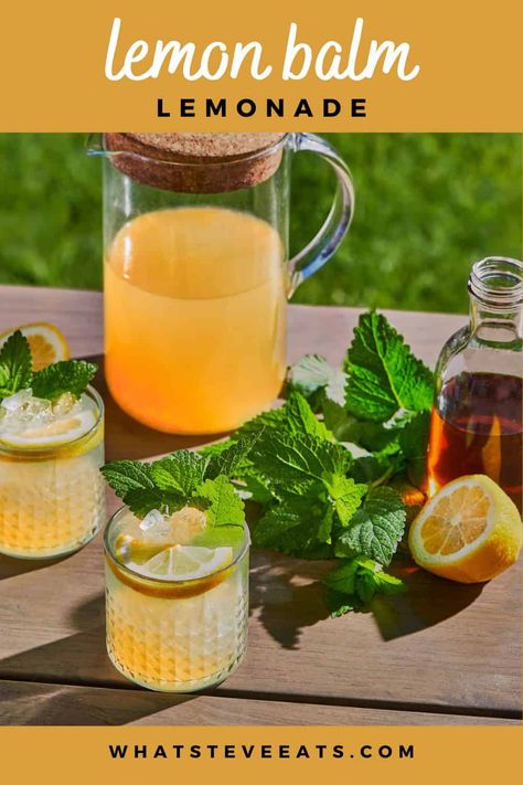 Lemon Balm Lemonade, Lemon Balm Recipes Drinks, Lemon Balm Drink Ozempic, Lemon Balm Tea Recipe, Lemon Balm Water, Lemon Balm Recipes, Pineapple Sage, Lemon Rosemary, Lemonade Cocktail