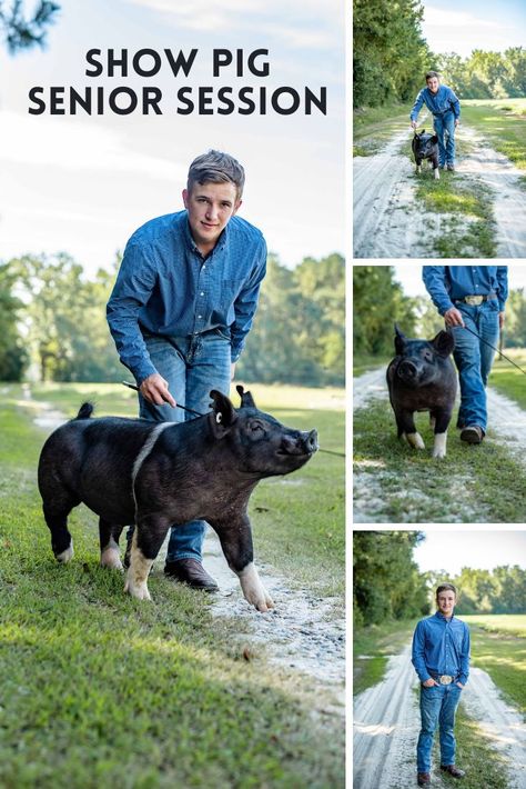 Show Pig Photography, Ffa Photoshoot, Livestock Senior Pictures, Ffa Senior Pictures, Barn Senior Pictures, Showing Pigs, Show Pigs, Livestock Photography, Cattle Herd