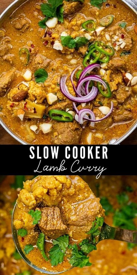 Low Carb Lamb Recipes, Lamb Curry Recipes Indian Slow Cooker, Lamb Casserole Recipes Slow Cooker, Lamb Chops Slow Cooker Recipes, Healthy Low Carb Slow Cooker Recipes, Slow Cooker Lamb Curry Recipes, Crockpot Lamb Stew, Lamb Curry Slow Cooker, Lamb Chop Recipes Crockpot