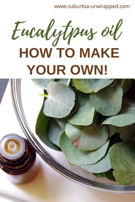 Eucalyptus Oil Diy Homemade, Essential Oil Recipes Eucalyptus, Homemade Eucalyptus Oil, Eucalyptus Oil Recipes, Eucalyptus Spiritual Uses, Things To Do With Dried Eucalyptus, Things To Do With Eucalyptus, Benefits Of Eucalyptus Oil, Diy Eucalyptus Oil