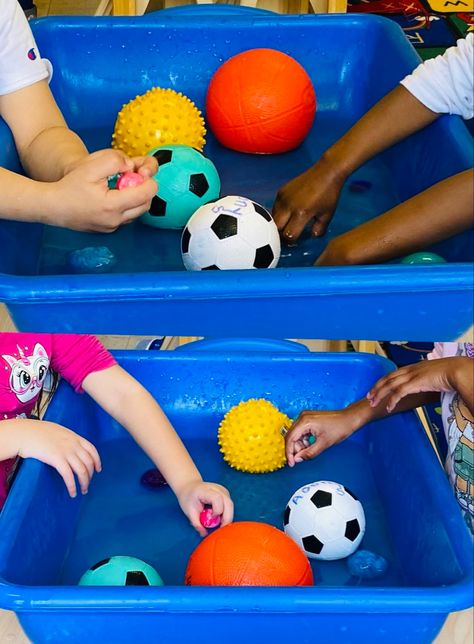 Sport Week Preschool, Ball Study Sensory Table, Balls Lesson Plan Preschool, Sensory Sports Activities, Ball Curriculum For Preschool, Ball Study Creative Curriculum Bulletin Board, Baseball Sensory Bin, Sports Themed Crafts For Toddlers, Ball Theme Activities For Preschool