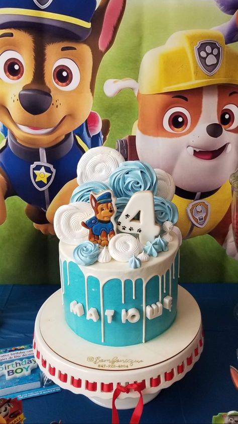 Paw Patrol Small Cake, Tort Psi Patrol Sky, Bone Cake Paw Patrol, Blue Paw Patrol Cake, Paw Patrol Cake 1 Tier, Paw Patrol Cartoon Cake, Paw Patrol Birthday Party Cake, Skye Paw Patrol Party, Paw Patrol Cake