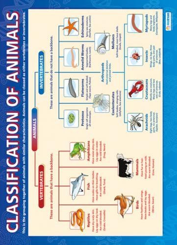 Classification|Science Educational Chart/Poster in high g... Classification Of Animals, Stem Classroom Decor, Classifying Animals, Gcse Biology, Biology Plants, Science Chart, Animals Poster, Animal Classification, Biology Classroom