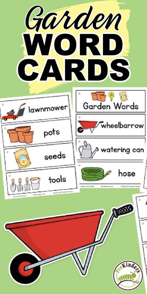 This FREE set of printable Garden Picture-Word Cards from PreKinders has 15 word cards, including wheelbarrow, watering can, hose, lawnmower, pots, seeds, tools, gloves, boots, clippers, trowel, flower, sun, rain. These cards are great for a writing center during a Garden Plants/Seeds theme unit. Gardening Theme For Toddlers, Plants Preschool, Christian Kindergarten, Preschool Flowers, Circle Activities, Plant Life Cycle Worksheet, Preschool Jobs, Prek Ideas, Garden Unit