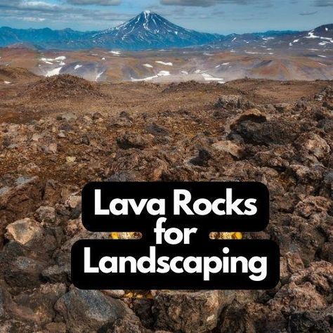 Best Lava Rocks for Landscaping - Enhance Your Outdoor Oasis! Red Lava Rock Landscaping Ideas, Rocks For Landscaping, Rock Pathway, Boost Curb Appeal, Drought Resistant Plants, Rock Garden Design, Organic Mulch, Rock Types, Lava Rock