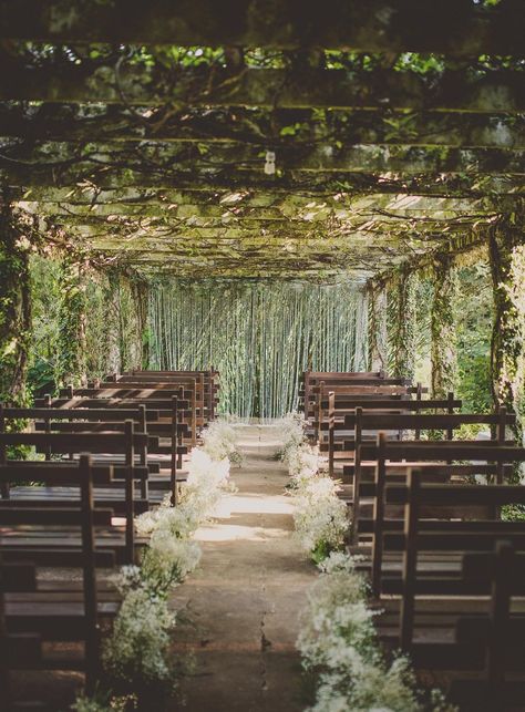 25 Lush Secret Gardens, Glasshouses & Greenhouses | Bellefield Greathouse & Gardens Wedding Aisles, Wedding Aisle Outdoor, Garden Chic Wedding, Wedding Ceremony Ideas, Destination Wedding Locations, Mod Wedding, Wedding Aisle, Outdoor Wedding Ceremony, Outdoor Wedding Venues