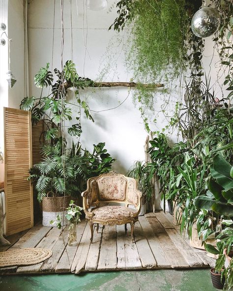 This oak tree and me, we're made of the same stuff. 🌲🌳  ― Carl Sagan Plant Studio, Houseplant Decor, Photography Studio Setup, Plant Goals, Deco Studio, Thomas Edison, Plant Decor Indoor, Trendy Home Decor, Buy Plants