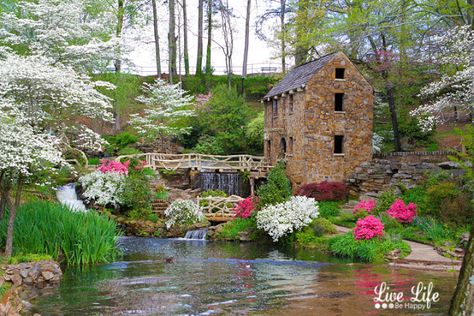 Live Life Be Happy: The Old Mill - North Little Rock - Arkansas Country Field, Water Wheels, Black Forest Germany, Watercolor Spring, Little Rock Arkansas, Rusty Cars, Old Rock, Painted Ladies, Spring Landscape