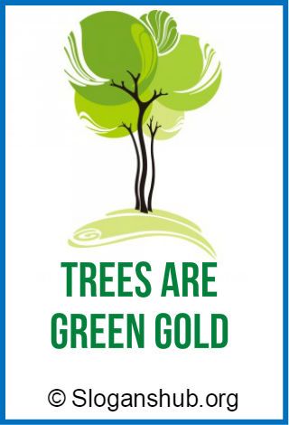 Van Mohatsav Poster, Save Trees Quotes, Slogans On Trees, Save Earth Quotes, Slogans On Save Trees, Trees Quotes, Save Tree Save Earth, Go Green Posters, Green Posters