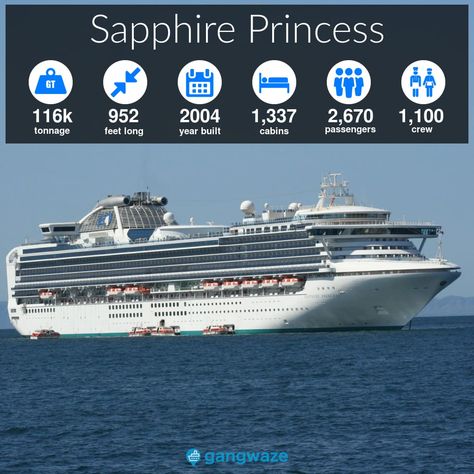 Sapphire Princess Infographic Sapphire Princess Cruise Ship, Emerald Princess Cruise Ship, All Princess, Map Layout, Princess Cruise Ships, Princess Line, Princess Cruise, Alaskan Cruise, List Of Activities