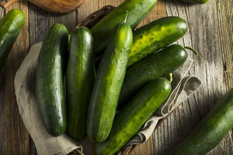 Learn how to make cucumber spiral garnishes with easy instructions and photos. Curly cucumber spirals make an easy but elegant garnish for salads, cold plates, and buffet platters. Freeze Cucumbers, Bitter Cucumbers, Cooked Cucumber, Cucumber Varieties, Cucumber Canning, Cucumber Plant, Container Gardening Flowers, Seasoned Rice, Plant Diseases