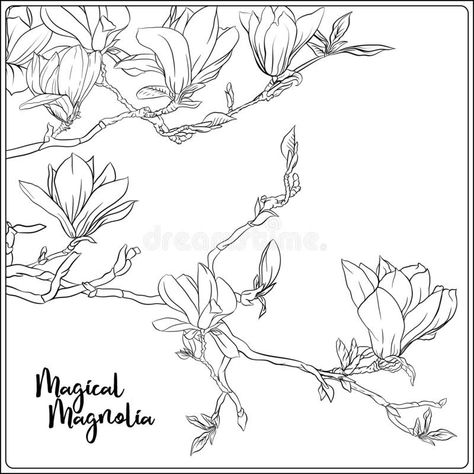 Flowers Magnolia, Branch With Flowers, Tree Outline, Book Outline, Flowers Coloring, Magnolia Tree, Drawing Vector, Magnolia Trees, Watercolor Art Lessons